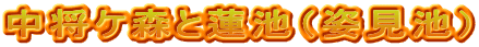 中将ケ森と蓮池（姿見池）