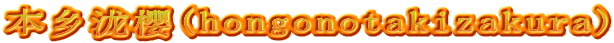 本乡泷樱(hongonotakizakura)
