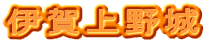 伊賀上野城