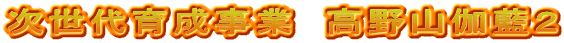 次世代育成事業　高野山伽藍２