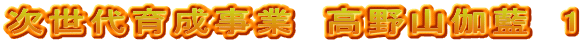 次世代育成事業　高野山伽藍　1