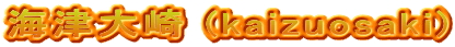 海津大崎 (kaizuosaki)