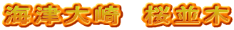 海津大崎　桜並木