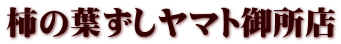 `̗t}g䏊X