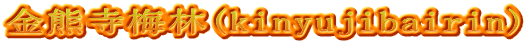 金熊寺梅林(kinyujibairin)