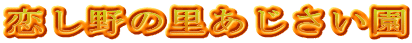 ̗