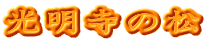 光明寺の松