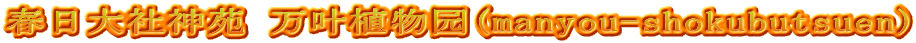 春日大社神苑 万叶植物园(manyou-shokubutsuen)