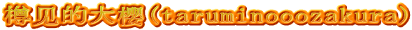 樽见的大樱(taruminooozakura)