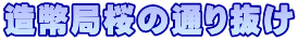 Ǎ̒ʂ蔲