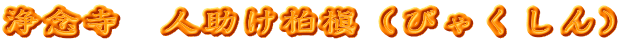 浄念寺　人助け柏槇（びゃくしん）